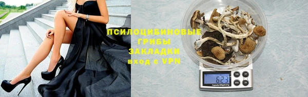 jwh Алзамай
