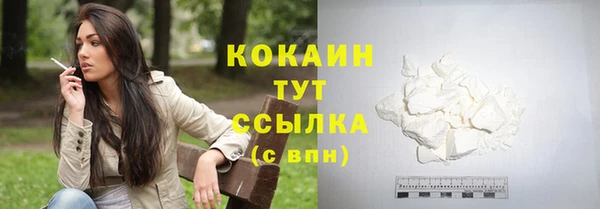 соль ск Алексеевка