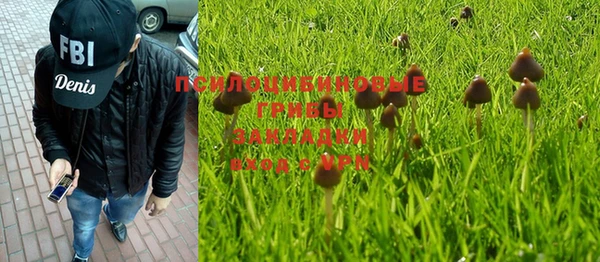 тгк Алексин
