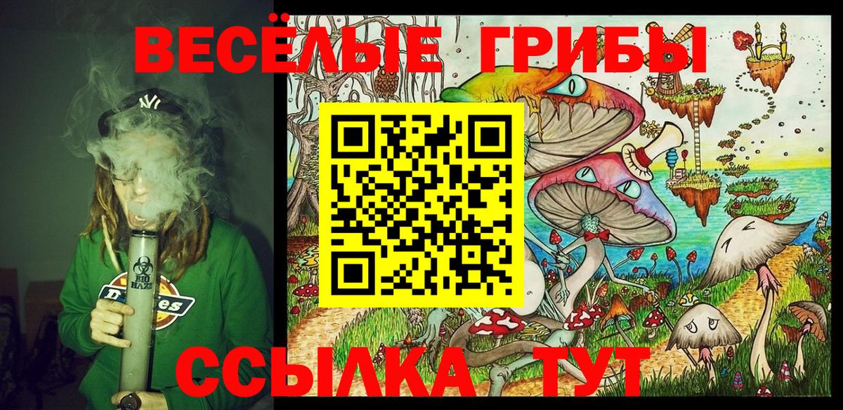 Галлюциногенные грибы Psilocybine cubensis Лобня